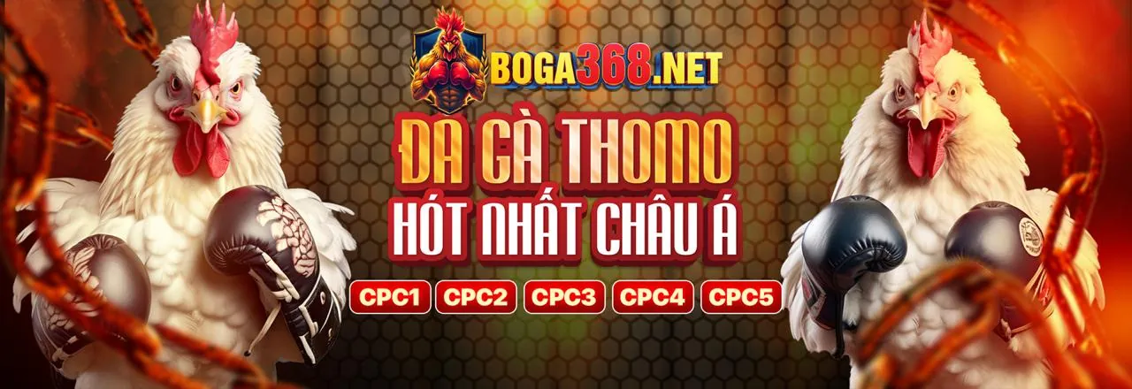 Đá Gà Trực Tuyến VND66 Đăng Nhập